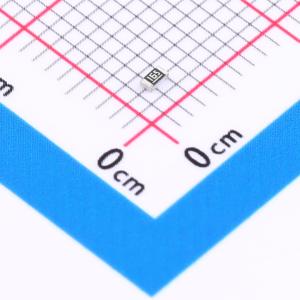 RMC06031.6M1%N商品缩略图