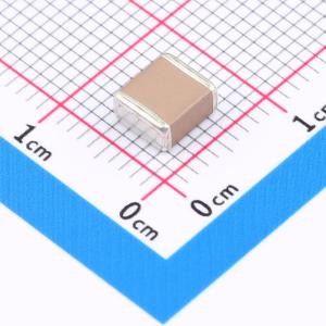 FS55X106K101EGG商品缩略图