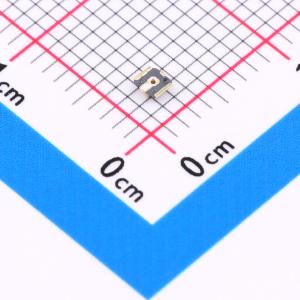 K.FL2-R-SMT-1(800)商品缩略图