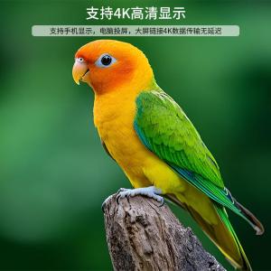 ZY534-010商品缩略图