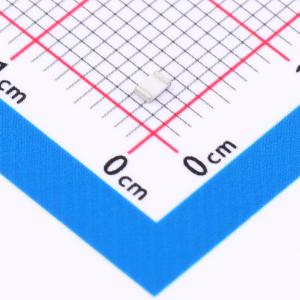 RMC08051.2K1%N商品缩略图