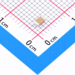 NL1206B224K500CEDN商品缩略图