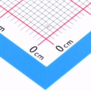 CC0402BRNPO9BN5R0商品缩略图