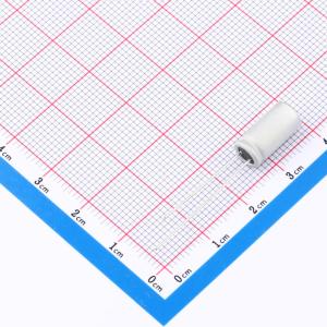 BC025M331LO6.3*13L-1A4T商品缩略图