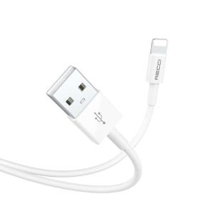 RTC-P05L商品缩略图