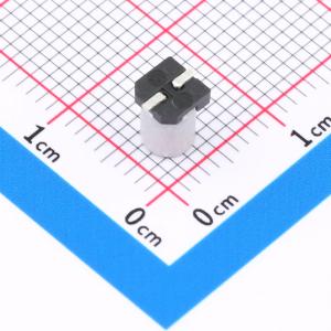 RVT1H1R0M0405商品缩略图