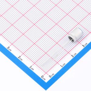 BC025M101LO6.3*8L-1A4T商品缩略图