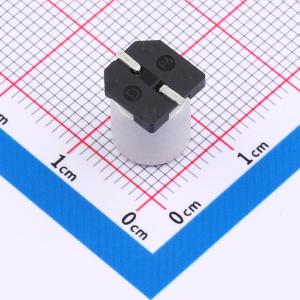 RVE1V221M0810商品缩略图