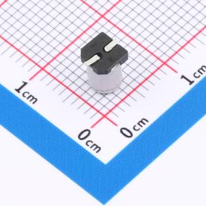 RVT1V100M0405商品缩略图