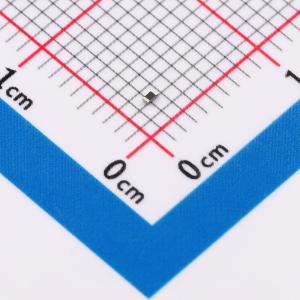 GR0402F10RTAG00商品缩略图