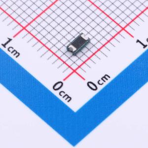 BSMD1206L-300-12V商品缩略图