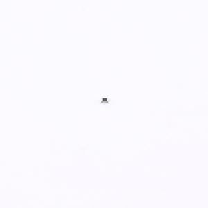 0201WMF2004TEE商品缩略图