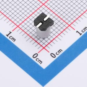 RVT50V2R2M4X5商品缩略图