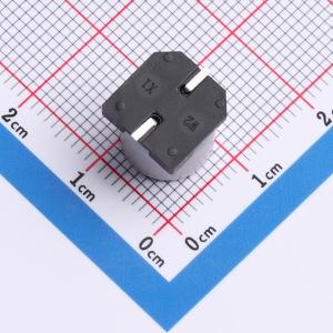 CDL100M470G10PC97V00R商品缩略图