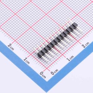 PZ200RS-11-12P-01商品缩略图