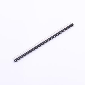 PZ200VS-11-40P-A01商品缩略图