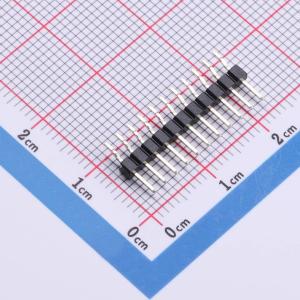 PZ200RS-11-11P-01商品缩略图