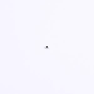 RC0402DR-07300KL商品缩略图