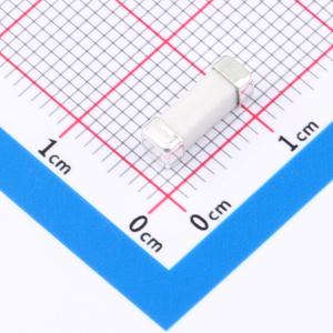 40T 2A250V商品缩略图