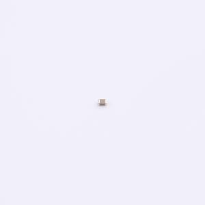 CSA0402X5R105M250GT商品缩略图