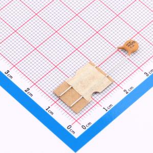 DCH101K22Y5P16FL5A0商品缩略图