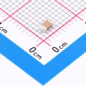 FP31X104K500ECG商品缩略图