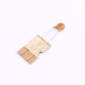 DCH101K22Y5P16FL5A0商品缩略图