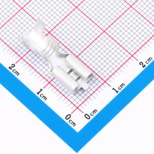 DL250ZCGJ商品缩略图