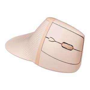 GMAERGWBT6BG商品缩略图