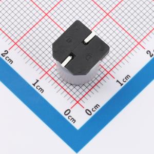 RVT63V100M10X10商品缩略图