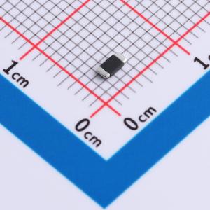 RA1206F1R100G商品缩略图