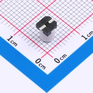 RVT1V100M0405商品缩略图