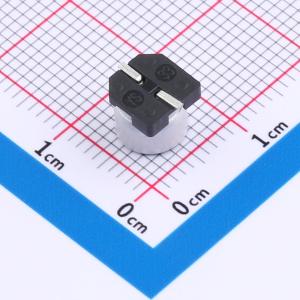 RVT1C101M0605 100UF 16V商品缩略图