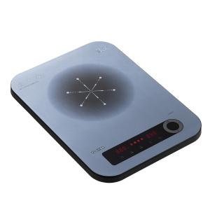 IC-21RUC商品缩略图