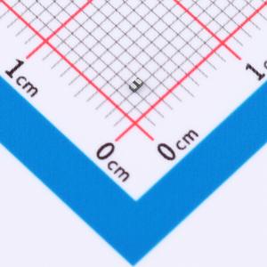 SP4021-01FTG-C-0402商品缩略图