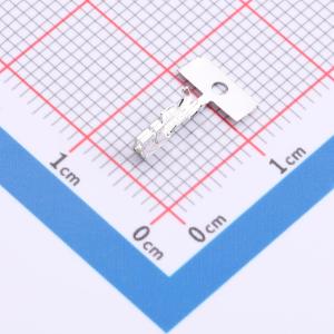 QAC-T商品缩略图