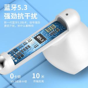 TWS-F1商品缩略图