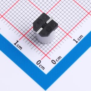 RZH1V101M0607商品缩略图