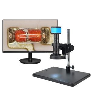 GP-560H+飞利浦23.8寸显示屏商品缩略图