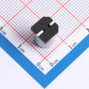 GVZ1V221M0810商品缩略图