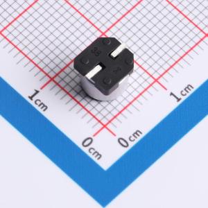 GVZ1E101M0605商品缩略图