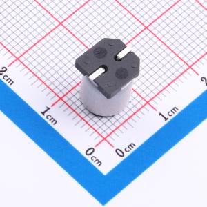 GVZ1J101M0810商品缩略图