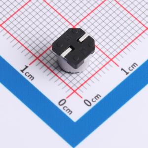 GVT1V680M0605商品缩略图