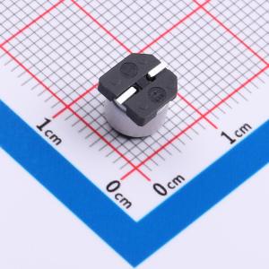 GVM1V101M0605商品缩略图