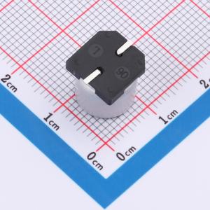 GVE1J101M1010商品缩略图