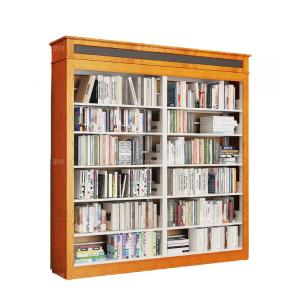 RJSJ-396商品缩略图