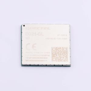 EG21GLGD-128-SGNS商品缩略图