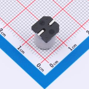 EFVH050ADA101M08B0-VT商品缩略图