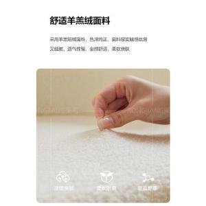 RJBGSF-449商品缩略图