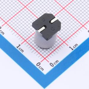 RYHV50V100UF8*10商品缩略图